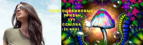 ешки Волоколамск