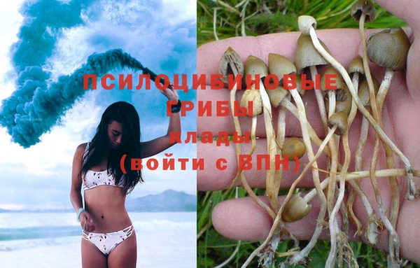 ешки Волоколамск