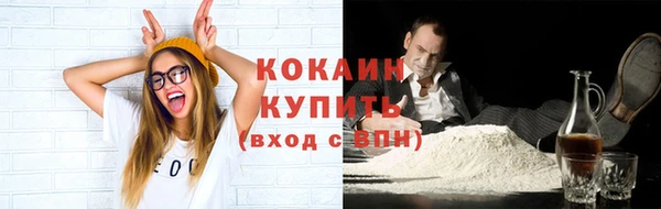 прущие грибы Володарск