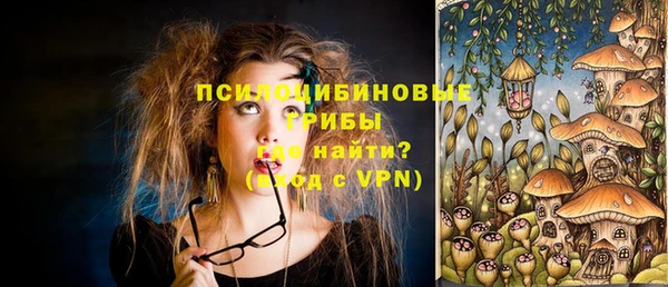 прущие грибы Володарск