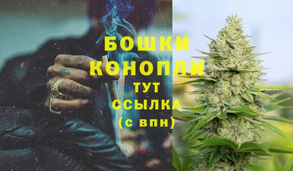 мяу мяу мука Верея
