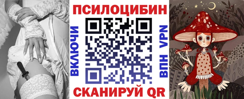 Псилоцибиновые грибы Psilocybe  магазин  наркотиков  Кизилюрт 