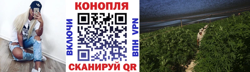 продажа наркотиков  Кизилюрт  kraken зеркало  Каннабис семена 
